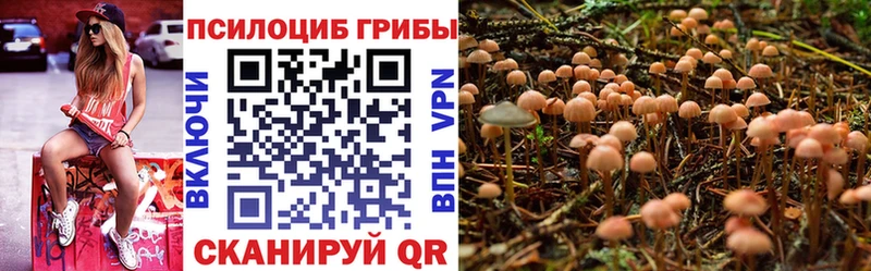 Псилоцибиновые грибы прущие грибы  MEGA   Осинники 