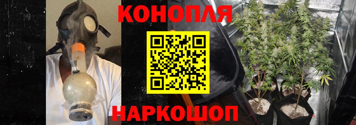 Каннабис план Осинники